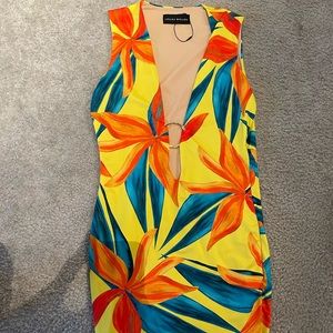 Louisa Ballou Sleeveless Ring Dress